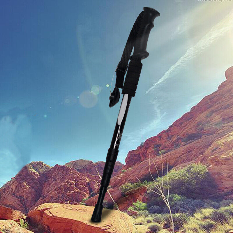 andake trekking pole